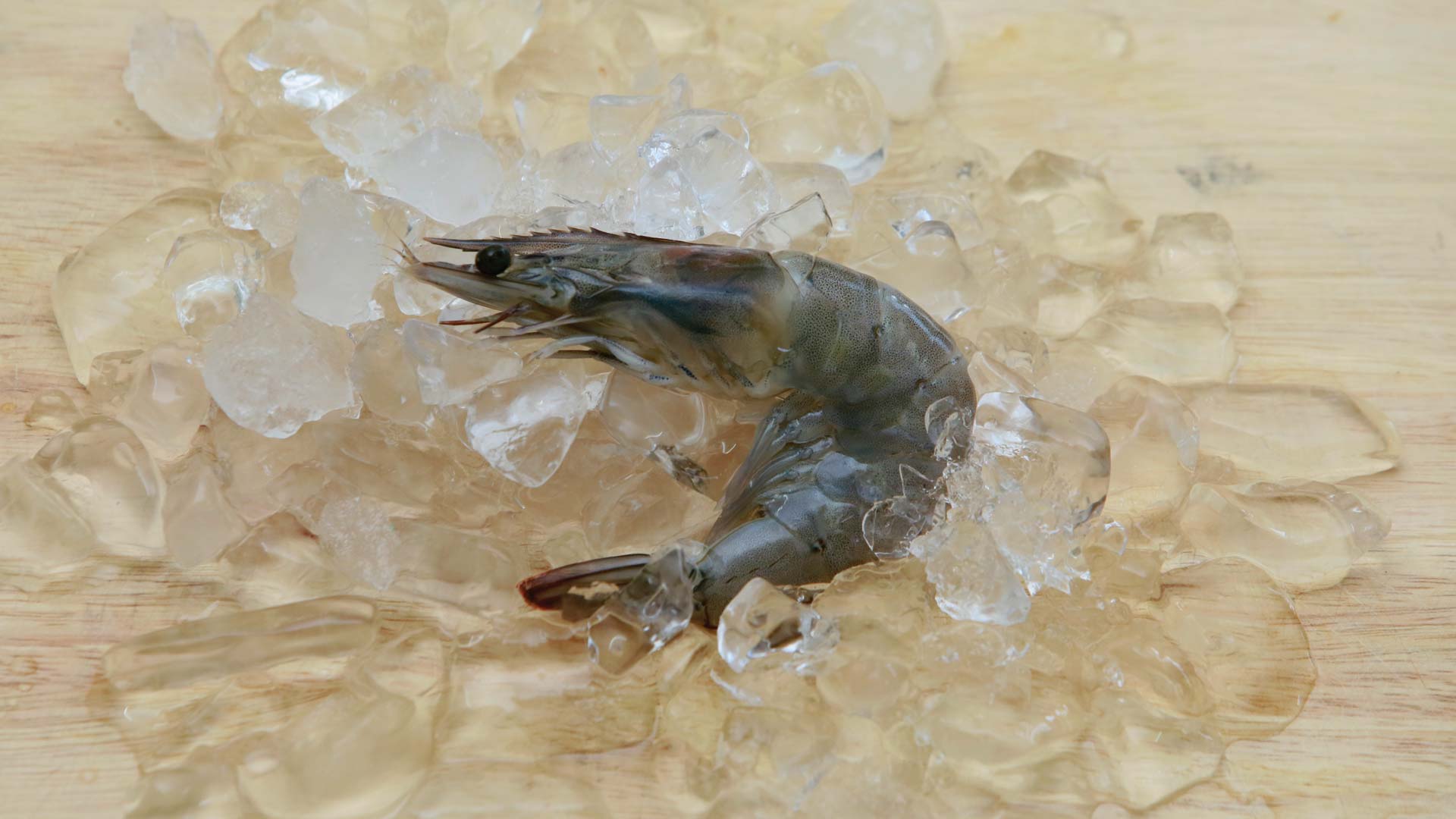 Vannamei Shrimp
