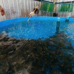 Eco Aquaculture Fish Farm