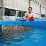 Eco Aquaculture Fish Farm