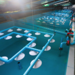 Eco Aquaculture Fish Farm